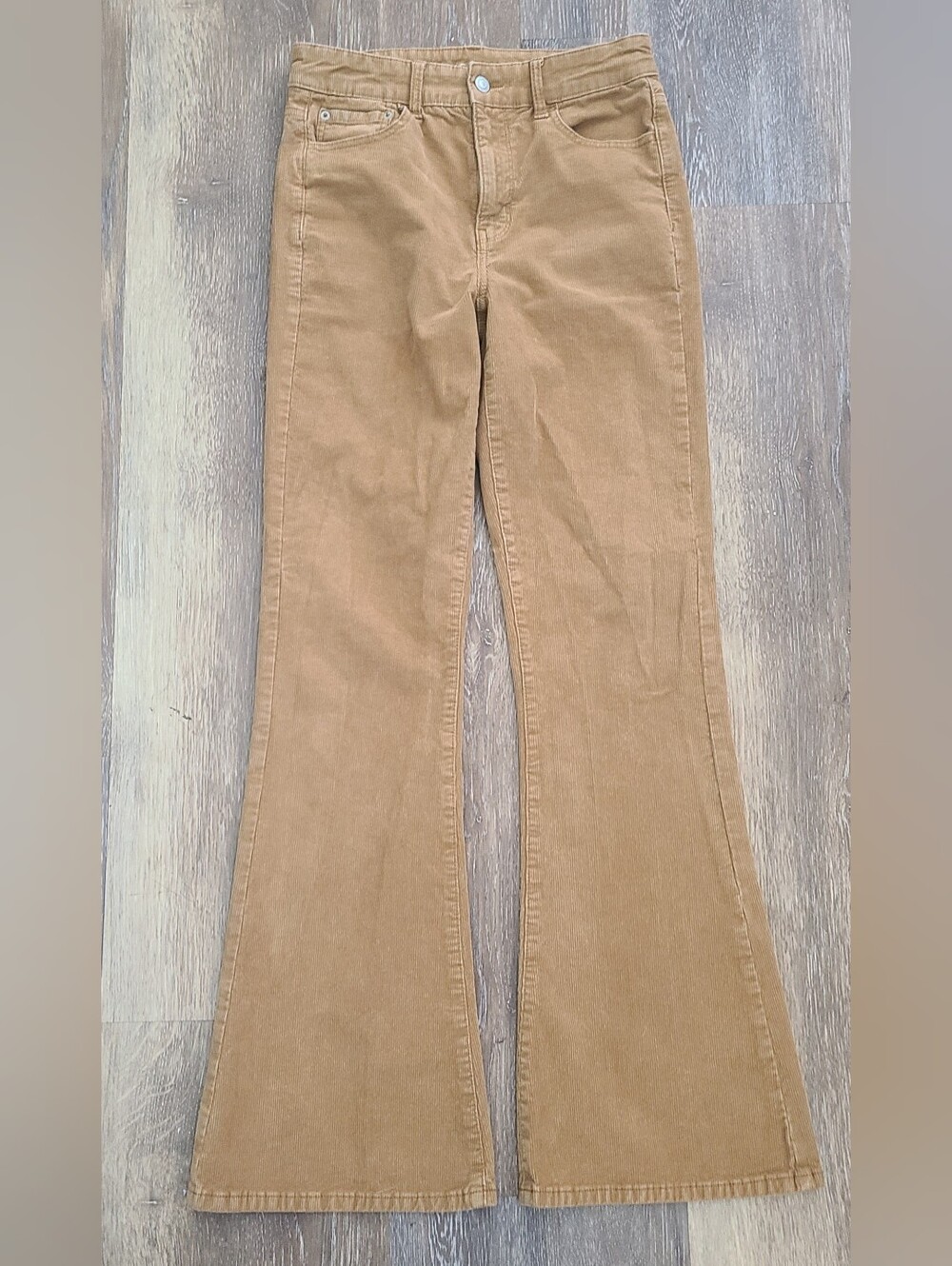 American Eagle Highrise Flare Cordoroys Women's Size 6 LONG